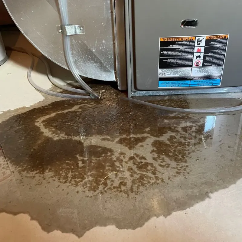 Pipe Burst and Leak Restoration in Lake Nacimiento, CA