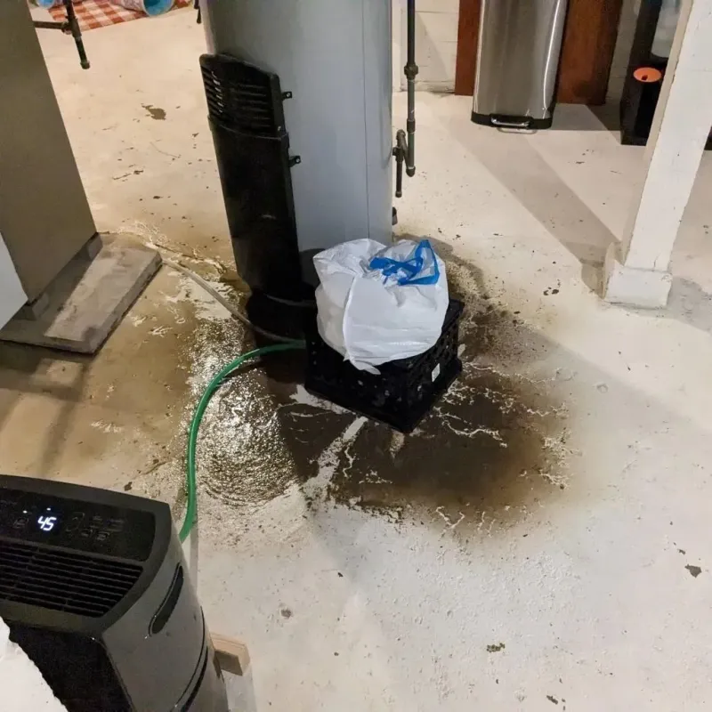 Sewage Backup Cleanup Service in Lake Nacimiento, CA